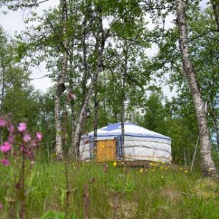 Фотография базы отдыха Aurora Yurt