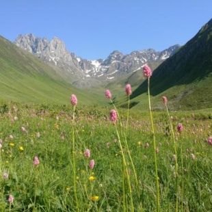 Фотография гостевого дома Lali`s Guest House in Juta