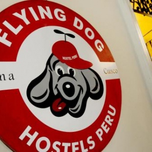 Фотография хостела Flying Dog Hostel