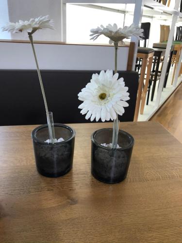 Фотография гостиницы Hotel Waitzingers