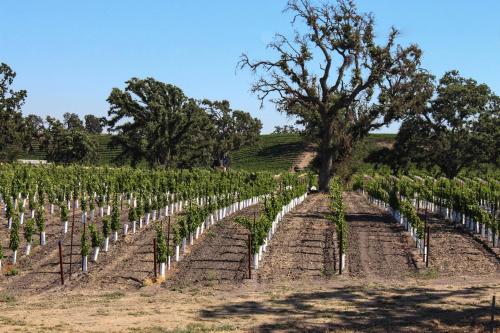Фотография гостевого дома Oceanfront Delight