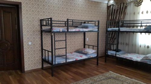 Фотография хостела Badam Cozy