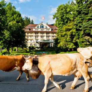 Фотографии гостиницы 
            Le Grand Bellevue