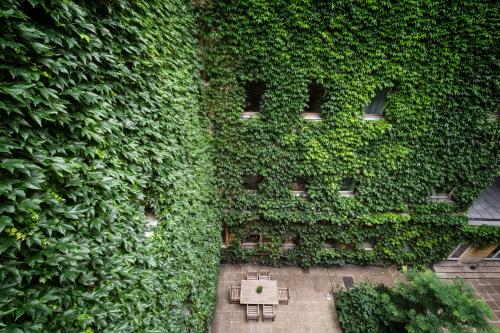 Фотография гостиницы Hotel Kunsthof