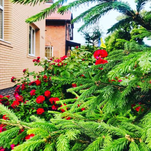 Фотография мини отеля Усадьба