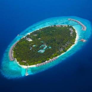 Фотографии гостиницы 
            Dusit Thani Maldives