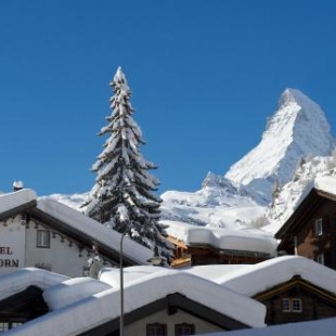 Фотография гостиницы Hotel Weisshorn