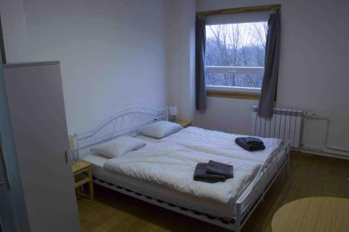 Фотография гостевого дома Penzion Starý dvůr