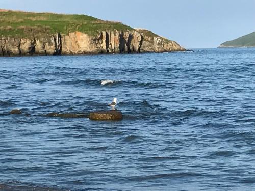 Фотографии кемпинга
Парус Мосина