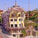 Фотография гостиницы Hotel Empress Zoe