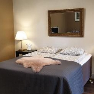 Фотография гостевого дома Villa Tammikallio Guest House