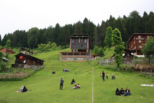 Фотографии гостиницы 
            Ayder Villa de Pelit Hotel