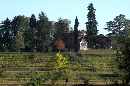 Фотографии базы отдыха 
            Casali del Picchio - Winery