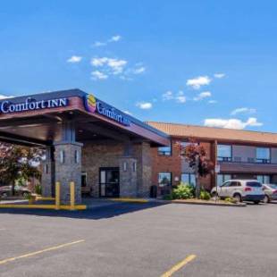 Фотографии гостиницы 
            Comfort Inn St. Catharines Niagara