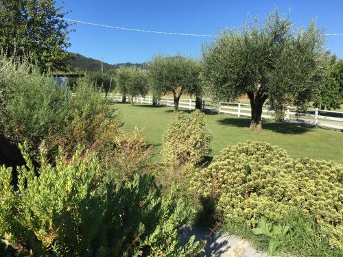 Фотография гостевого дома Dolce Dormire Suite