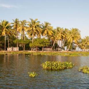 Фотографии гостиницы 
            Vismaya Lake Heritage