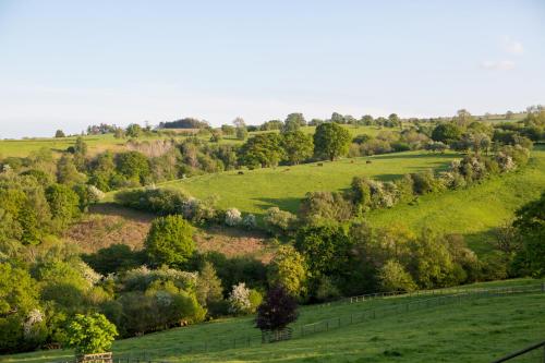 Фотография кемпинга GoldenValley Shepherd's Hut