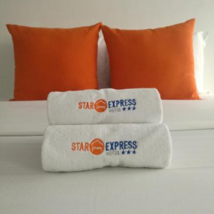 Фотография гостиницы Hotel Star Express