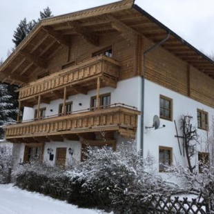 Фотография гостевого дома Städtisches Ferienhaus in Hollersbach im Pinzgau mit Garten