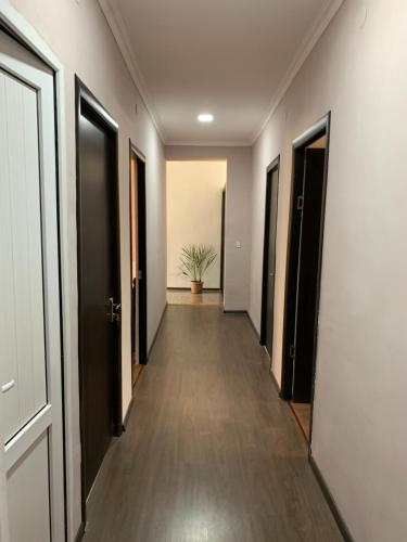 Фотография гостевого дома Novak Guest House B&B