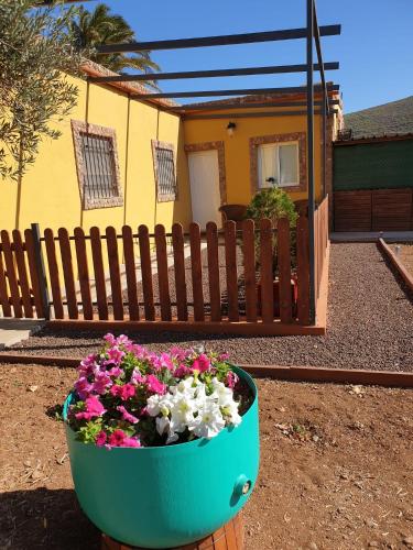 Фотография гостевого дома La Casita del Naranjo