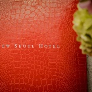 Фотография гостиницы New Seoul Hotel