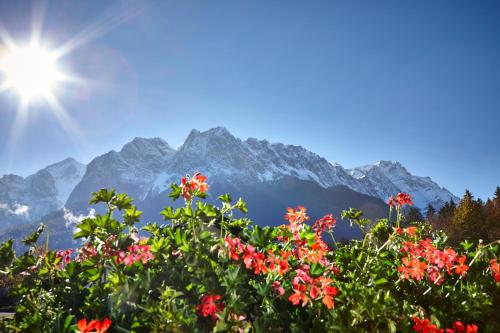 Фотография гостевого дома Gästehaus Marianne