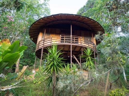 Фотографии гостевого дома 
            Paradiselodge Jungleguesthouse