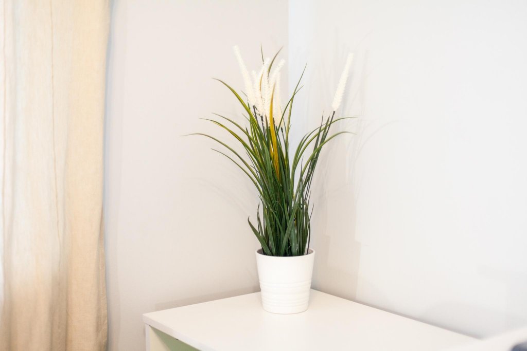 Фотография квартиры RentPlaza (РентПлаза) на 5-ой просеке 133