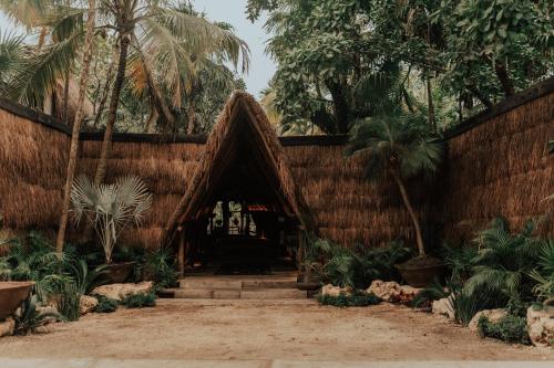 Фотографии гостиницы 
            Radhoo Tulum