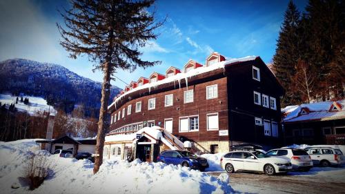 Фотография гостиницы Hotel Pod Sokolím