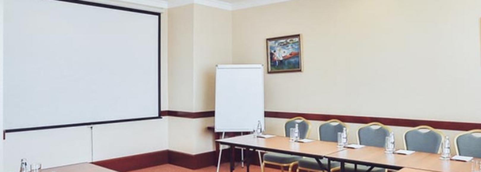 Фотография конференц-зала Ренуар