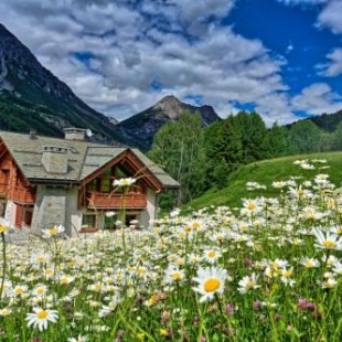 Фотография гостевого дома Chalet Taulei