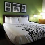 Фотография гостиницы Sleep Inn & Suites Belmont - St. Clairsville