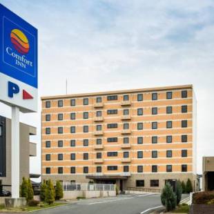 Фотографии гостиницы 
            Comfort Inn Ogaki