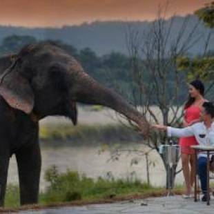 Фотографии гостиницы
Barahi Jungle Lodge