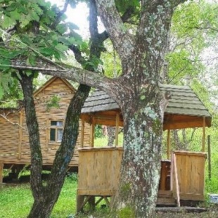 Фотография базы отдыха Дубки