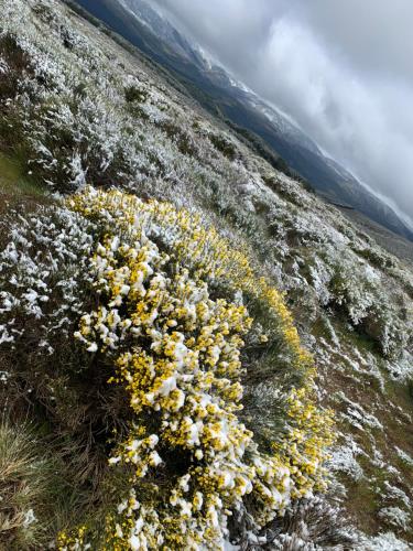 Фотографии гостевого дома 
            la cabaña de gredos