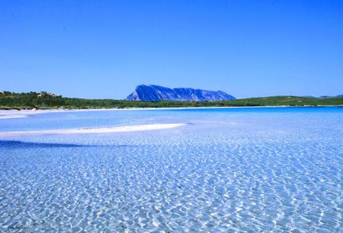 Фотография гостевого дома MONO-MARY: just 600m from the SEA with private beach!