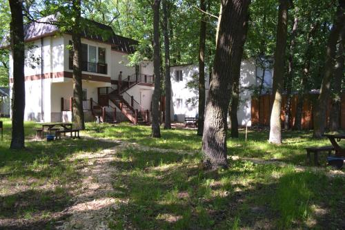 Фотография гостиницы Золотой пляж