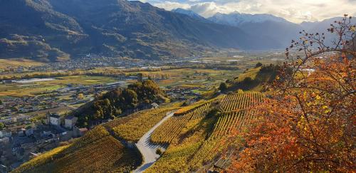 Фотография мини отеля Chez Constance