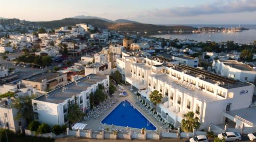 Фотография гостиницы Club Shark Hotel