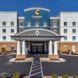 Фотография гостиницы Comfort Suites Florence I-95