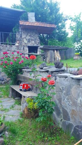 Фотография мини отеля SAMI DZMA