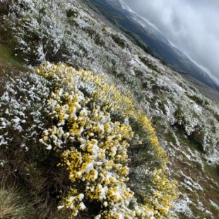 Фотография гостевого дома la cabaña de gredos