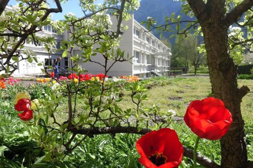 Фотография гостиницы Hôtellerie Franciscaine