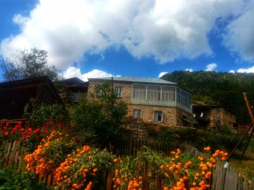 Фотография гостевого дома ieli