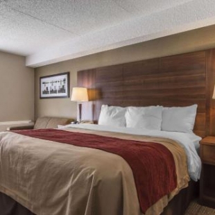 Фотография гостиницы Comfort Inn Huntsville