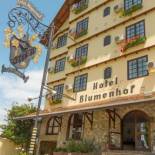 Фотография гостиницы Hotel Blumenhof