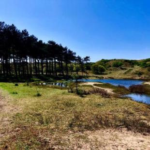 Фотография гостевого дома Strandhuis Everts